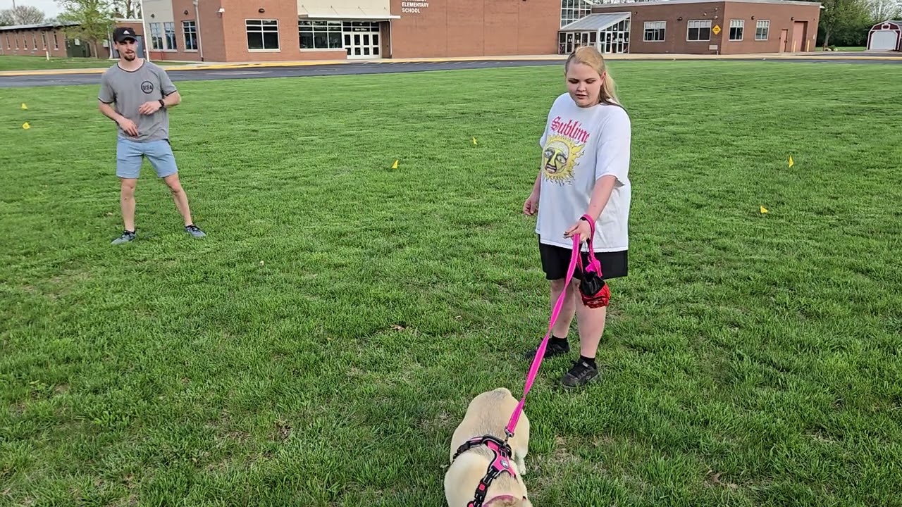 My mentor teaching me how to train a dog pt.2