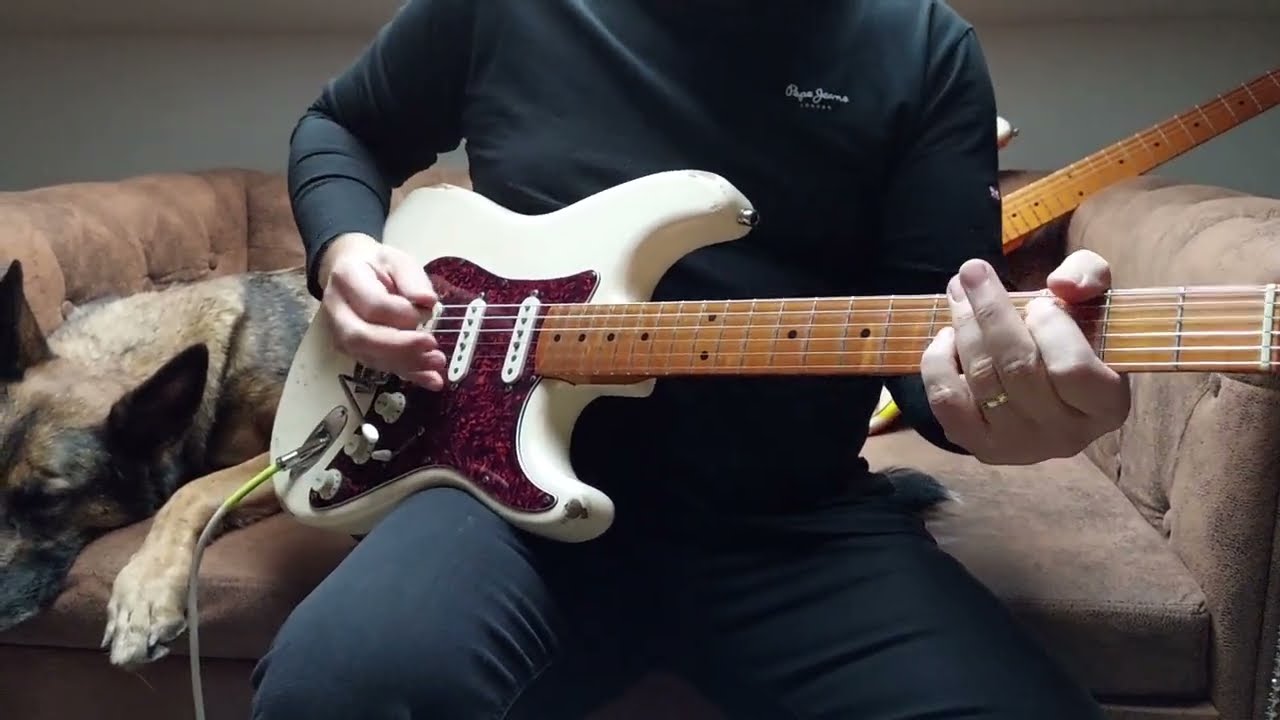 The Rise and Fall of Flingel Bunt - The Shadows 1964 (cover)