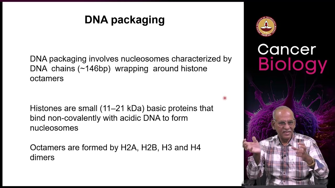 Epigenetics and cancer   Part 01