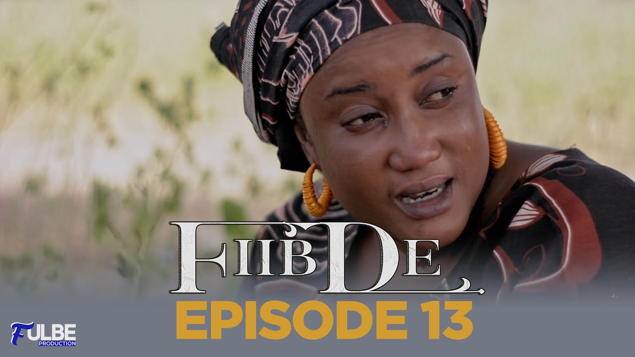 Série FIIBDE Episode 13