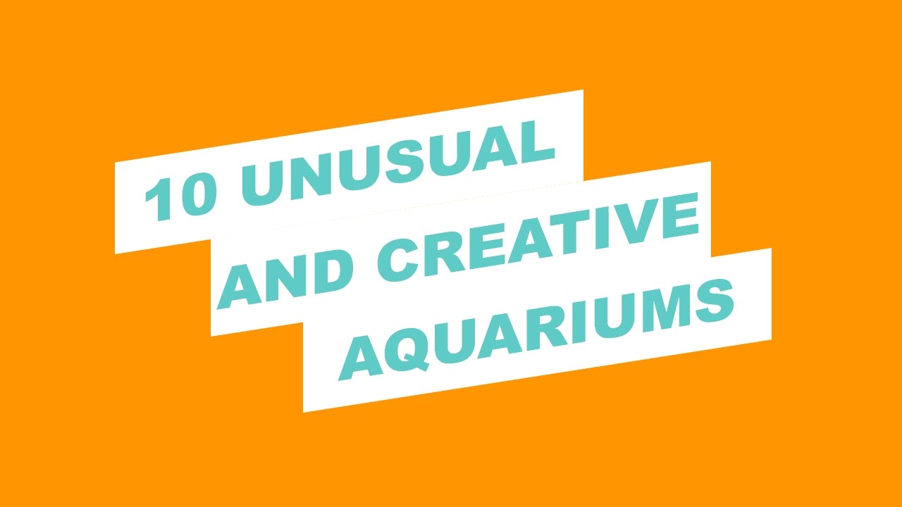 10 Unusual and Creative Aquariums