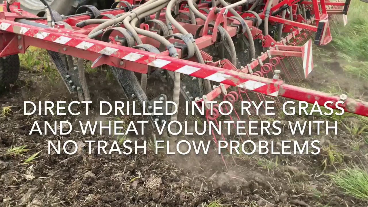 Dale MTD Spring Drilling