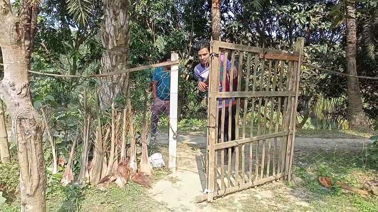 প্রতিবন্ধী দুইটা কামলা লাগবে শাকসবজি চাষ#aakhirkyutootichhorebarghatiteam 