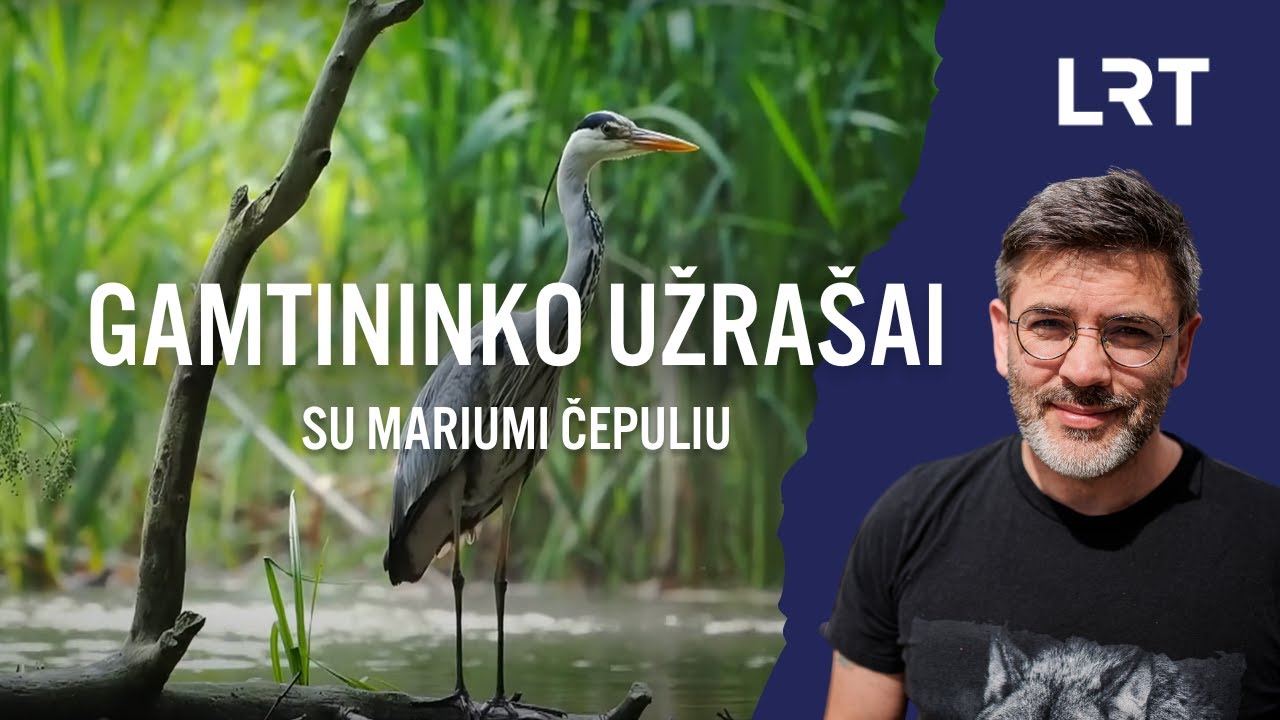 Gamtininko užrašai. Paukščius jų kolonijose stebėjęs Čepulis