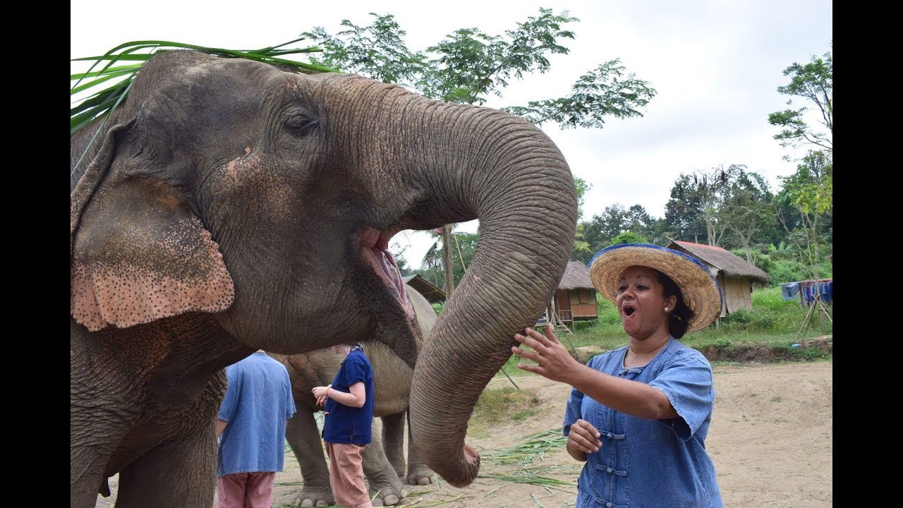 Year in the Life // Peace Corps Thailand