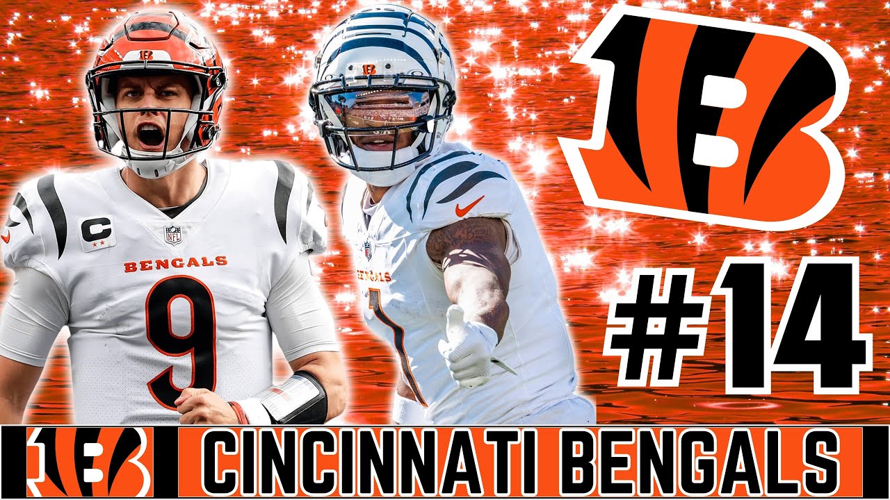 #14 Cincinnati Bengals Pre-Season Roster Breakdown