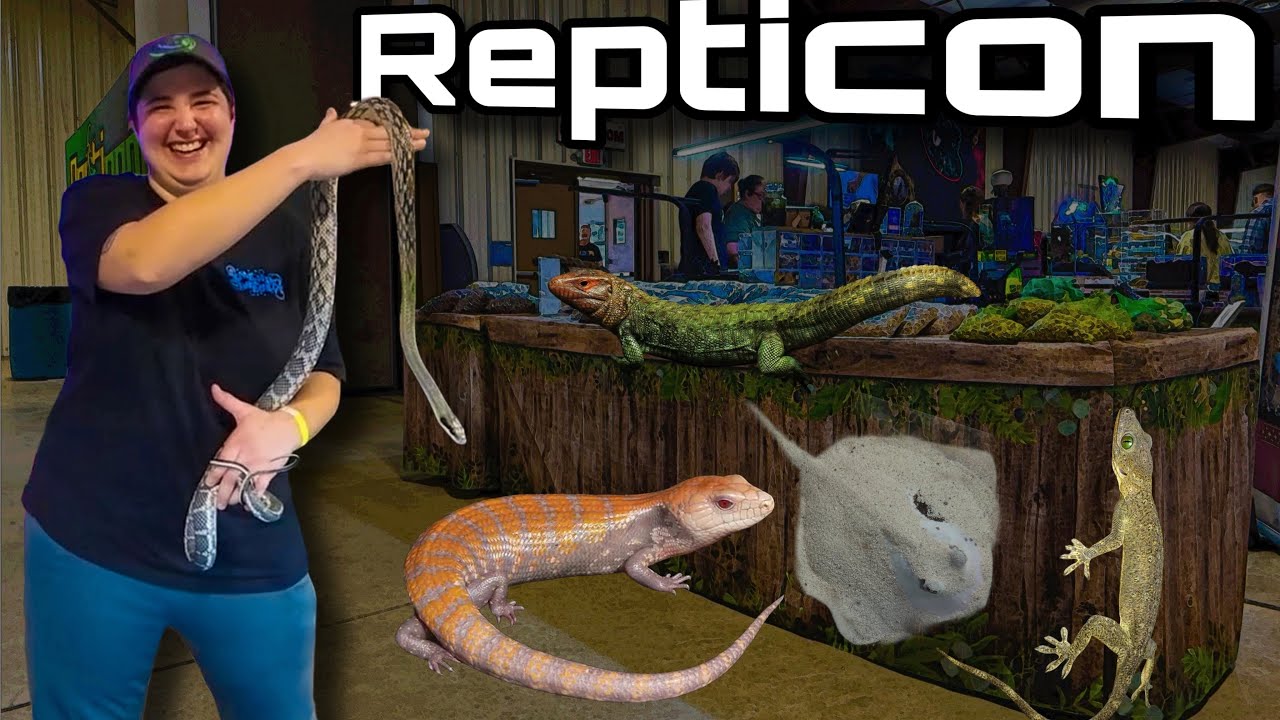 Trasa koncertowa Repticons + Stingray!?!