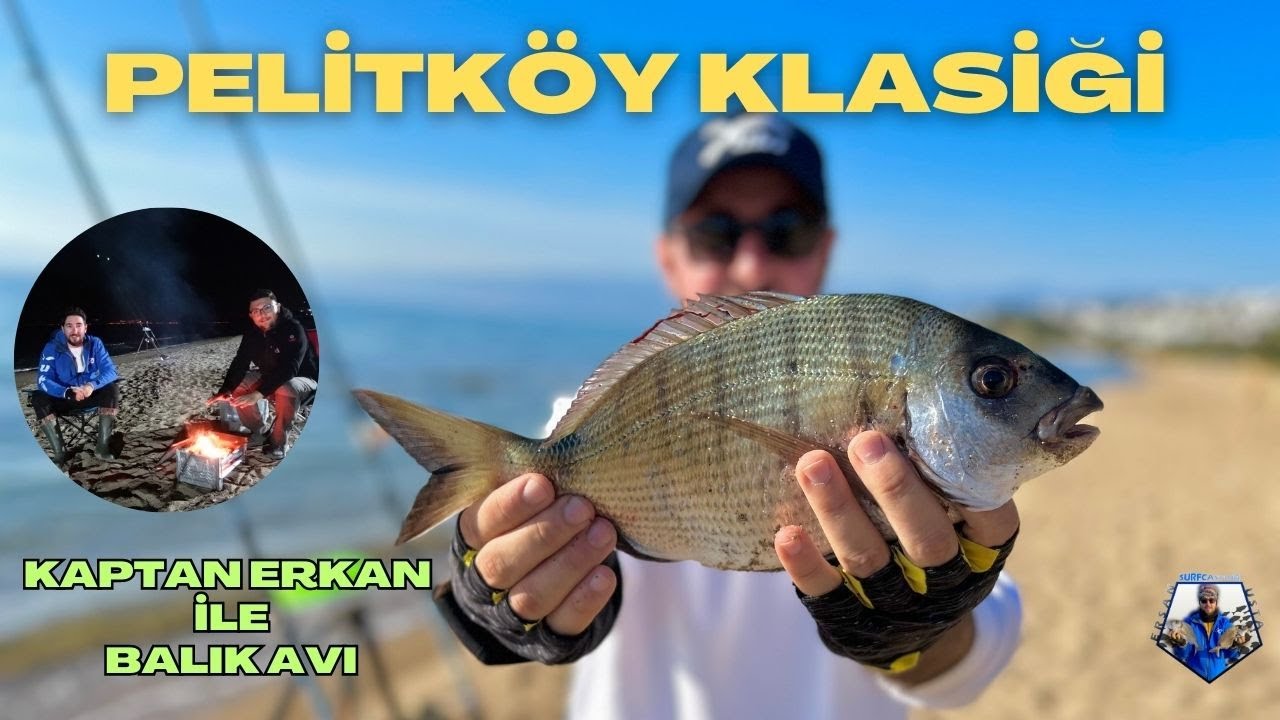 PELİTKÖY BALIK AVI | KAPTAN ERKAN İLE MUHTEŞEM DOĞA HUZUR EŞLİĞİNDE AV #fishing #fishingvideo