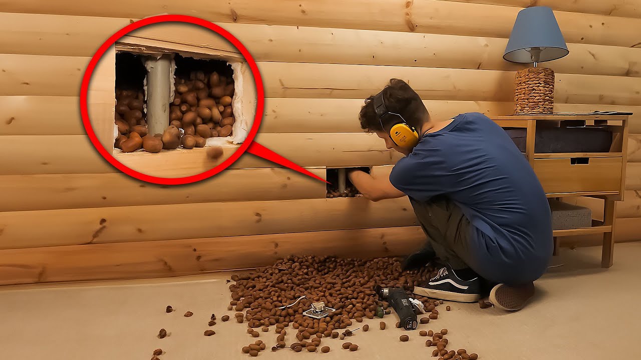 Secret Room DIY: How to Create Hidden Compartments in Your Walls! | DIY Project