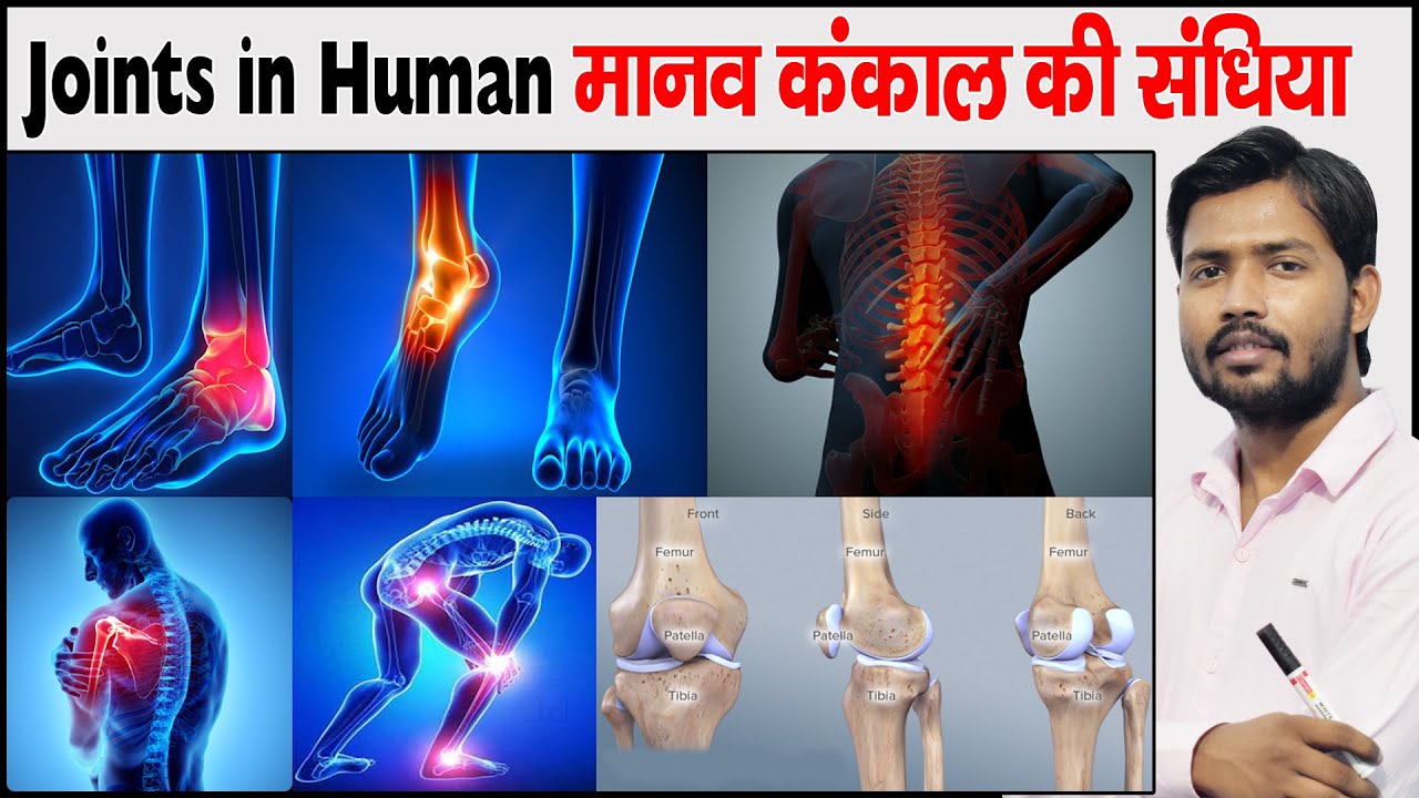 मानव शरीर की संधि | Joints In Human skeleton | Joints Of Body | Joints Of Bone | Types Of Joints