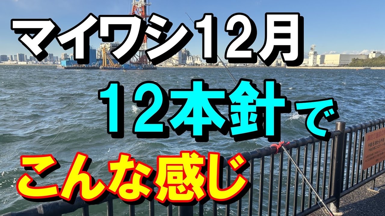 若洲海浜公園　マイワシ回ってます　東京湾奥