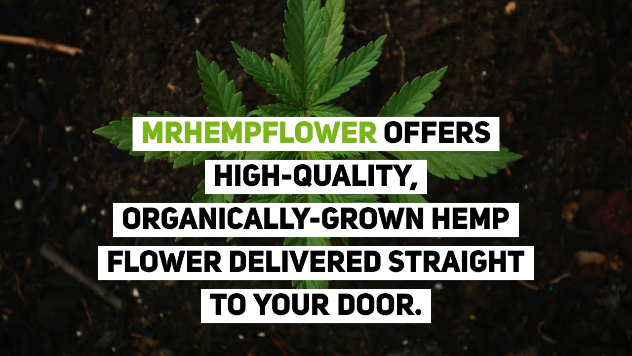 CBD Hemp Flower Minnesota- Is it Legal To Buy?
