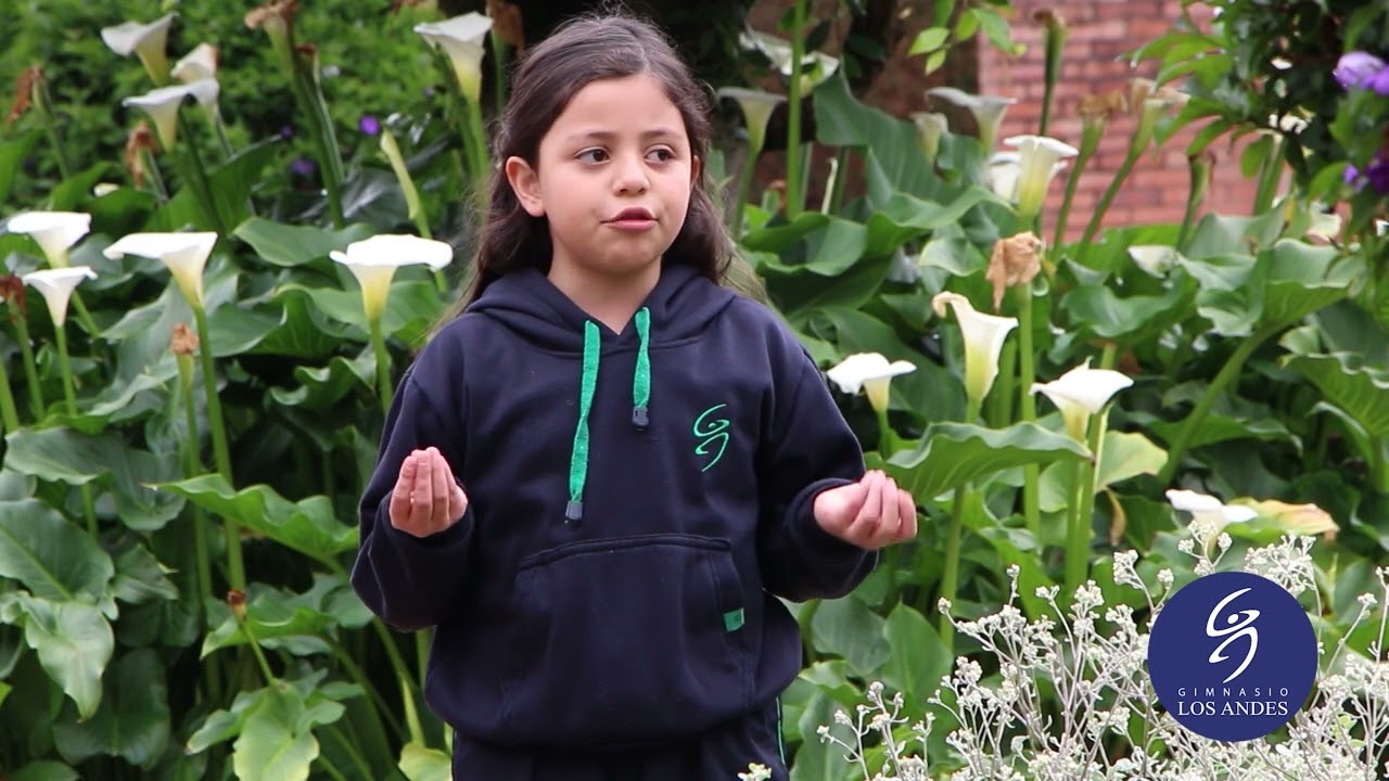 DEBATES ESCOLARES CICLO INFANTIL 2026