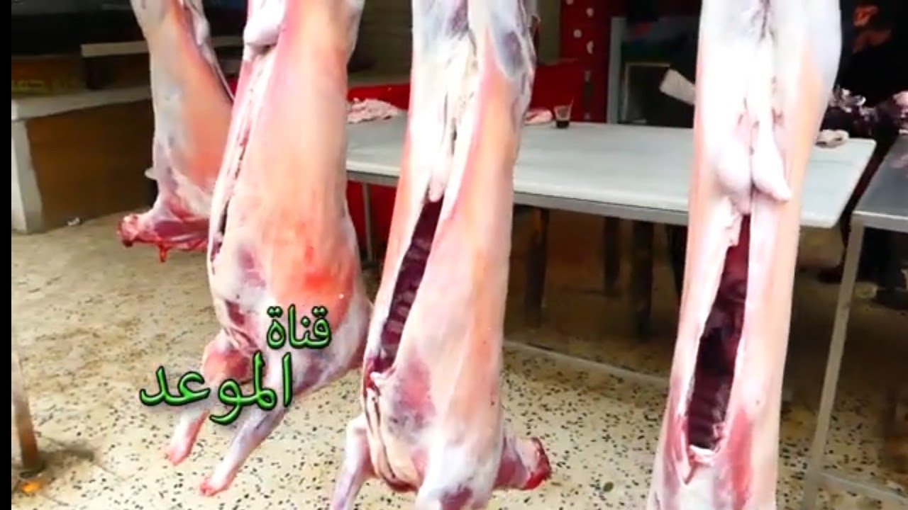شريت توى كغ اللحم بخمسين دينار ، حتى الكبدة بخمسين دينار أسوام العلوش صعيب تغلى فوق الخمسين دينار