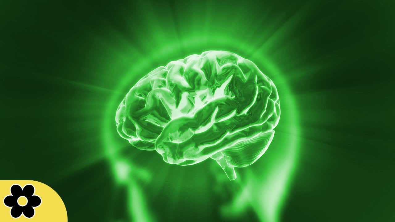 濃度の音楽、音楽、癒しの音楽のための勉強、心和む音楽、アルファ波✿465C