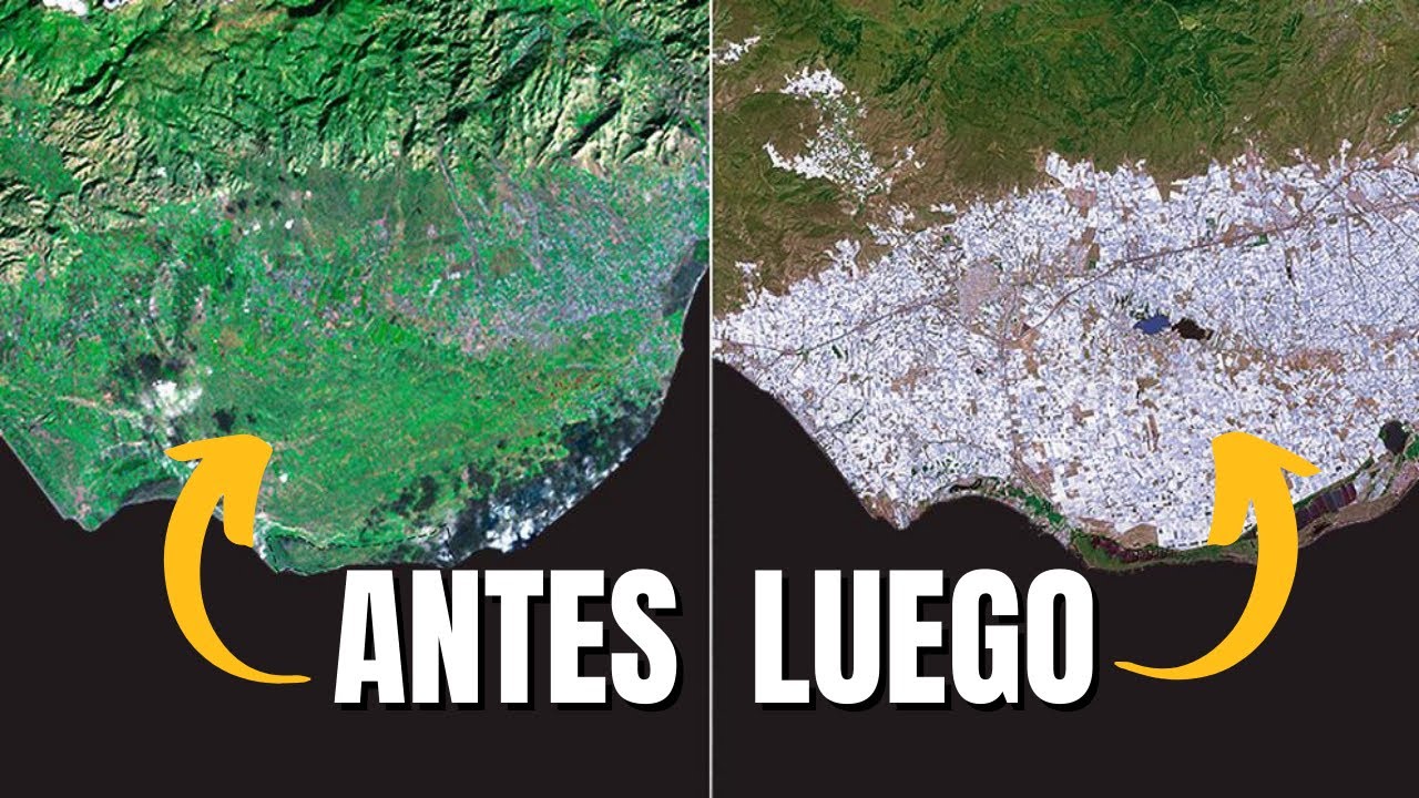 PANELES SOLARES, AGRICULTURA + INVERNADEROS: LA NUEVA REVOLUCIÓN AGROVOLTAICA