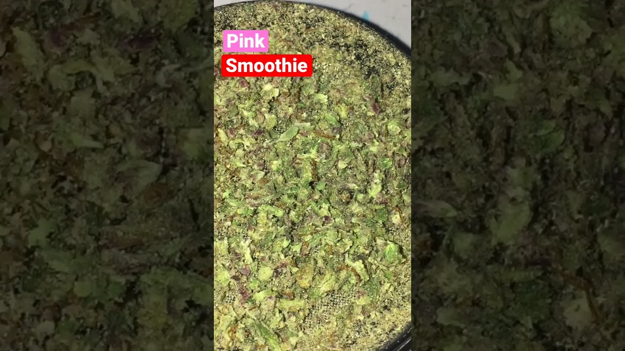 Pink smoothie | Balaclavabuds #fyp #shorts #rapperweed #weed #gas #cali #bud