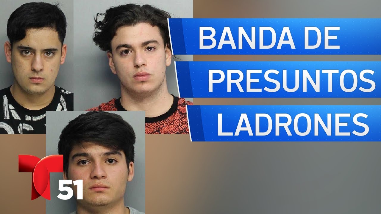Desarticulan banda de presuntos ladrones que enviaban artículos robados a Chile