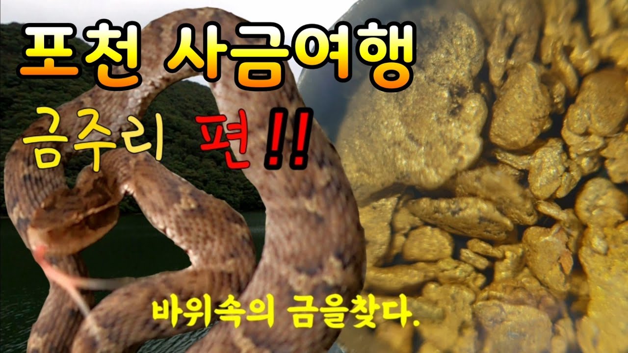 금을 준다고해서 금주리에 갔더니!?. 포천 사금여행/사금채취