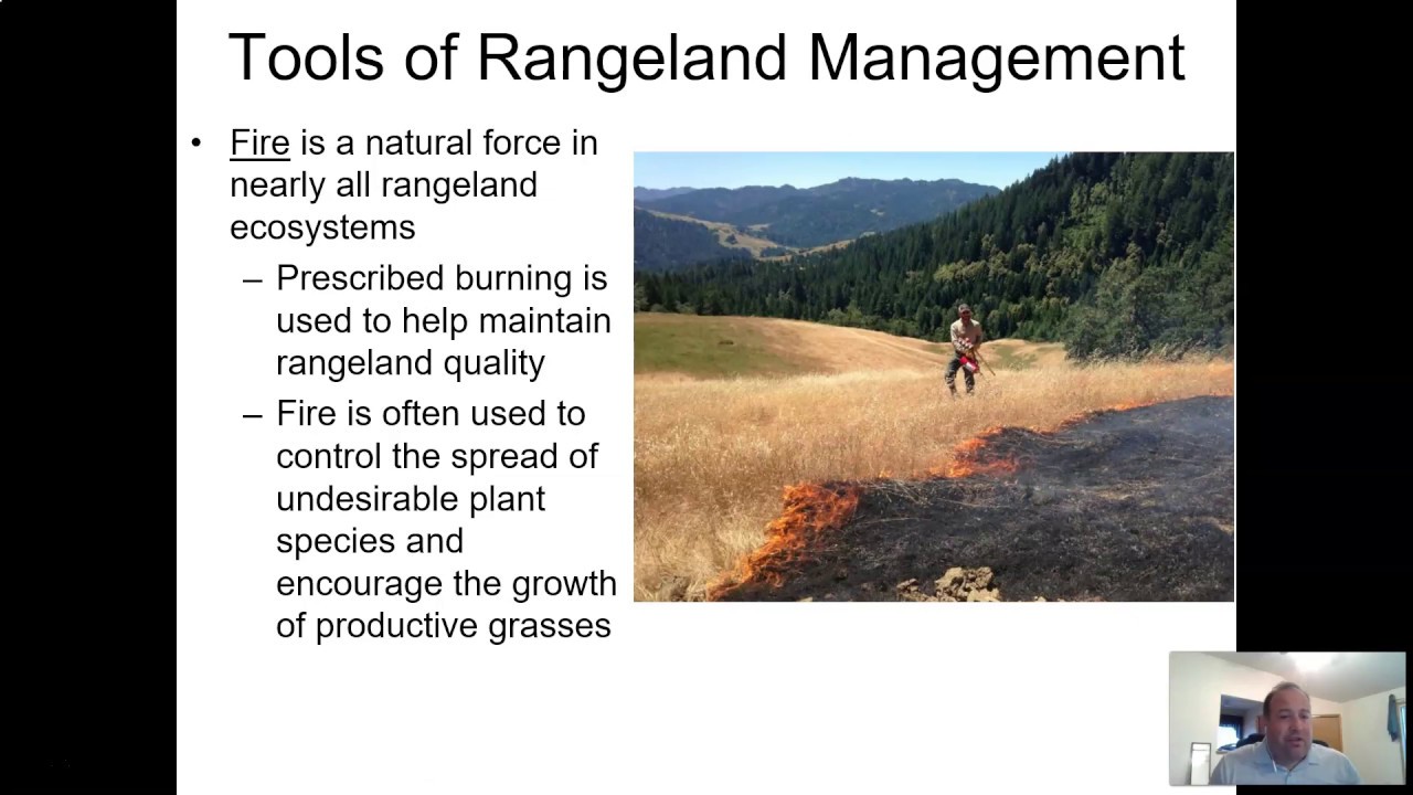 Range Management  Part 2