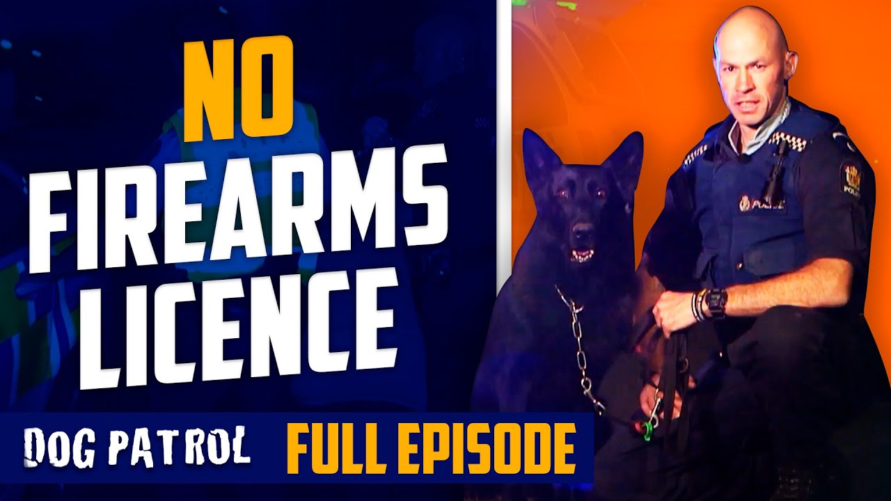 Armed Deer Poachers Run Into A Brick Wall | Dog Patrol - Season 7 Episode 10
