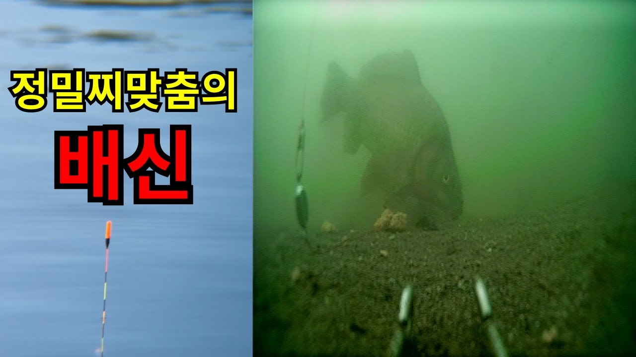 조사님들의 봉돌은 바닥에 안착되어있나요? - 정밀찌맞춤의 배신