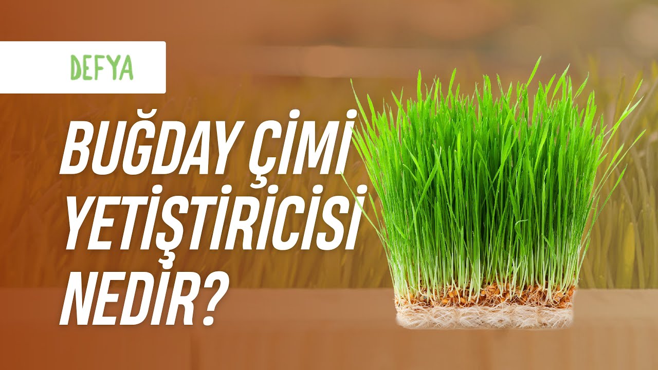 Tribest Sproutman’s Topraksız Buğday Çimi Yetiştiricisi | Ürün Ailemiz