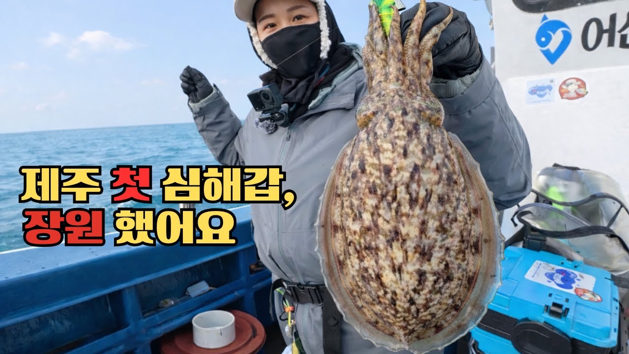 첫 제주 출조에서 이걸로 대물 잡았어요🦑 ㅣ바다 색깔별 삼봉에기 공략법 l 세네 구독자 이벤트 | 한림항 어신호 🛥️