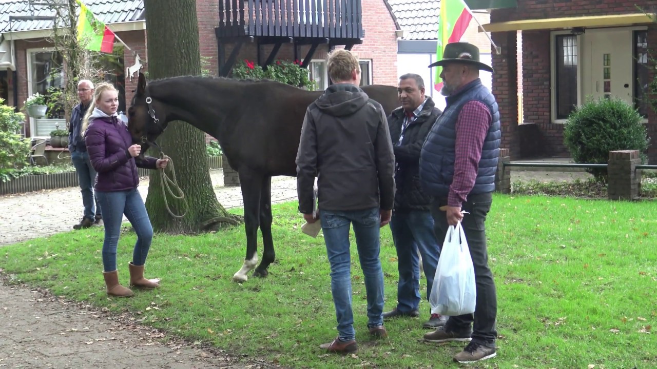 ZUIDLAARDERMARKT 2019