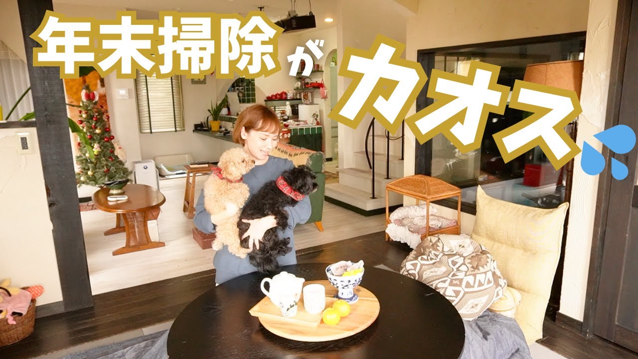 愛犬に見守られたり邪魔されたり…平和すぎる我が家の年末掃除
