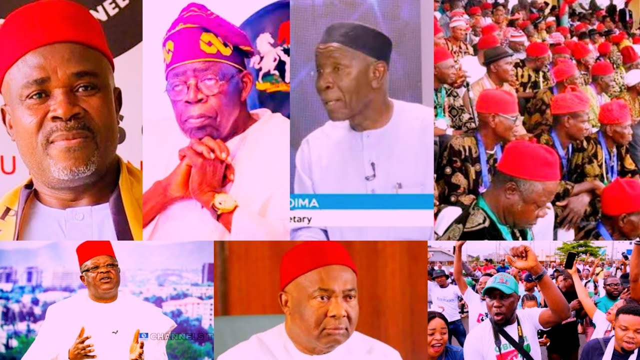 Powerful S.east elder destroys Tinubu, declare Igbos are not fools to abandon OBI & vote for Tinubu