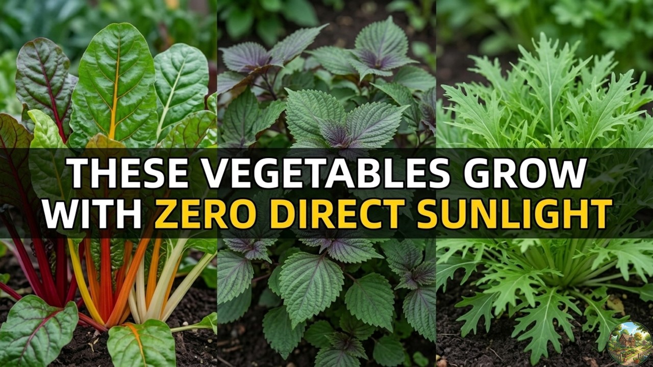 20 VEGETABLES YOU CAN GROW WITH ZERO DIRECT SUNLIGHT (SHOCKINGLY EASY!)
