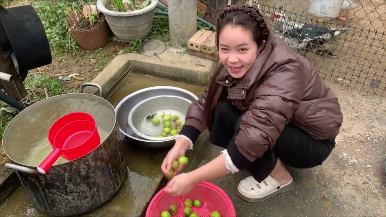 回到家乡，能够早睡早起，那会是怎样一种感觉？vlog 小翠