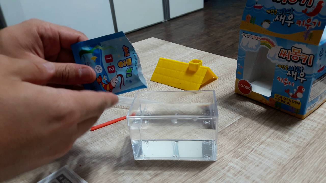 Daiso Sea Monkey kit!