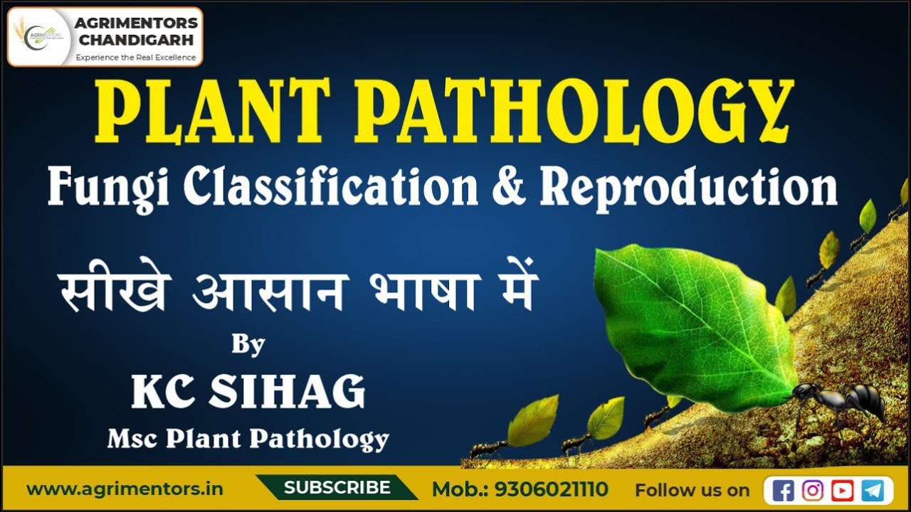 Fungi Classification & Reproduction | Plant Pathology Special Session by KC SIHAG (Msc PP)