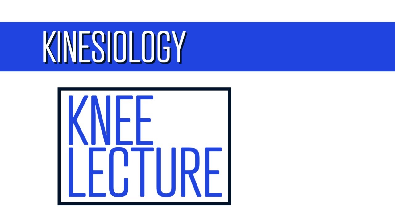 Knee Kinesiology Lecture