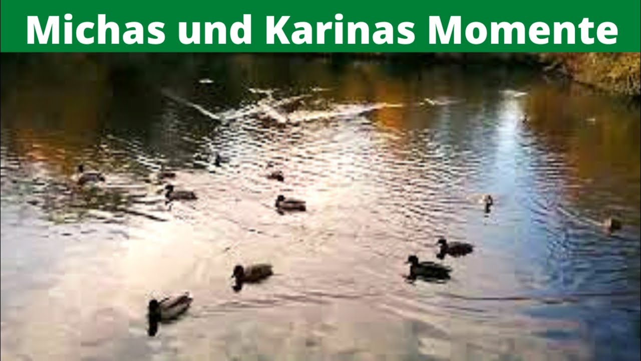 Осенние прогулки в Biebertal bein us in Menden Sauerland просто чистая природа
