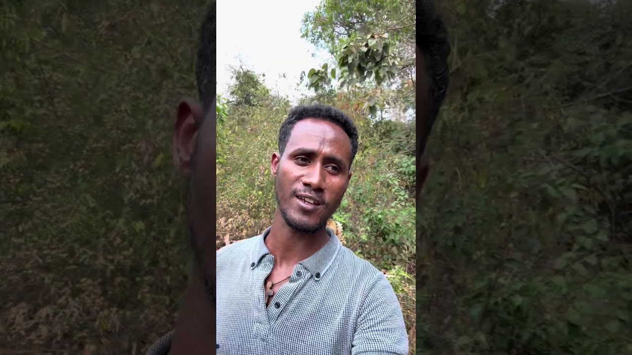 ብልትን ለማሳደግና ለማስረዘም የሚረድ መድሀኒቶች!
