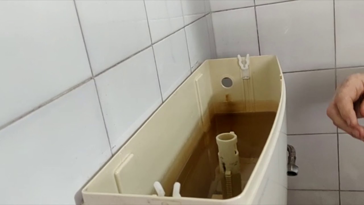 תיקון ניאגרה עודד