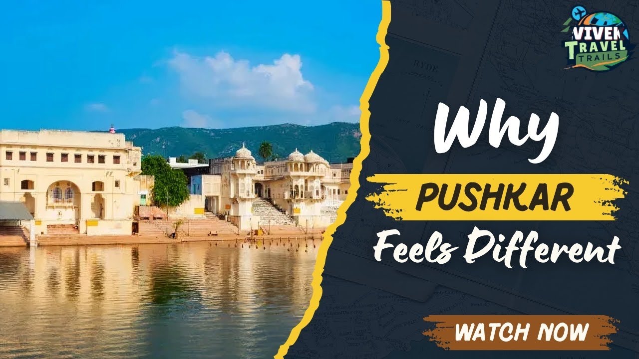 Pushkar Vibes  Low AQI | Amazing Weather | Laid-back Feel | @vivektraveltrails