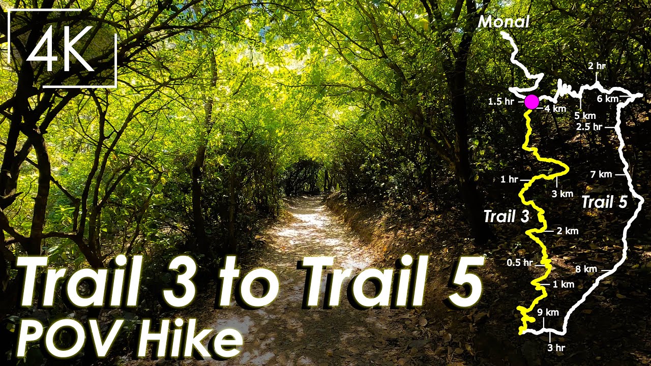 Trail 3 to Trail 5 Loop Hike with Live Map - POV Hike with No Music and No Commentary - 4K