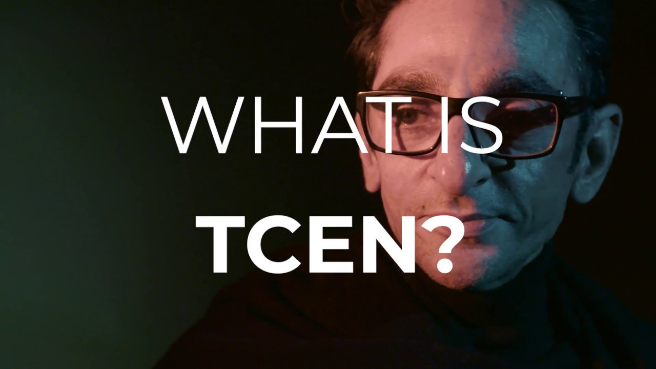 What is the Commonwealth Equality Network (TCEN)?