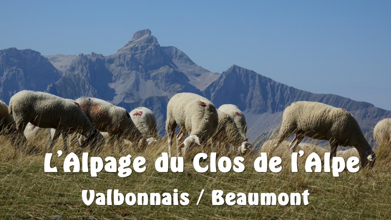 L'alpage du Clos de l'Alpe / Valbonnais - Beaumont