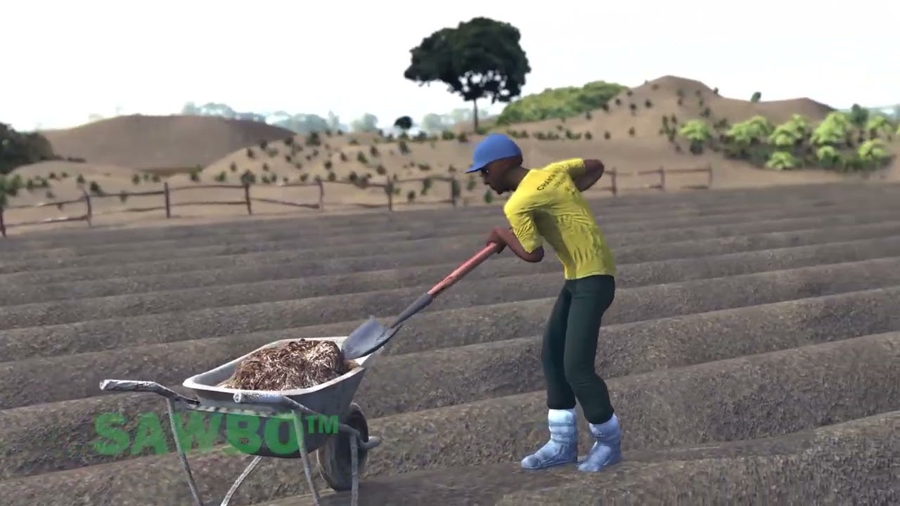 Kupanga Ma bedi a Mbewu