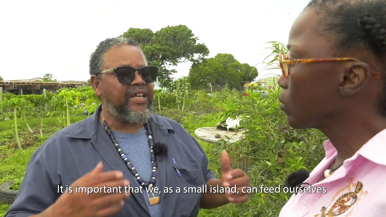 Safeguarding Nature Projects - St Eustatius - Roaming Animals