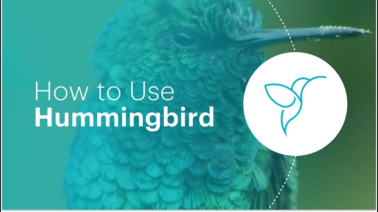 How to Use Hummingbird