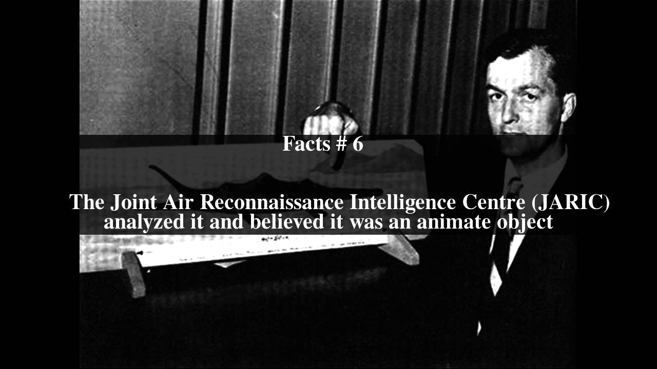 Tim Dinsdale Top # 9 Facts