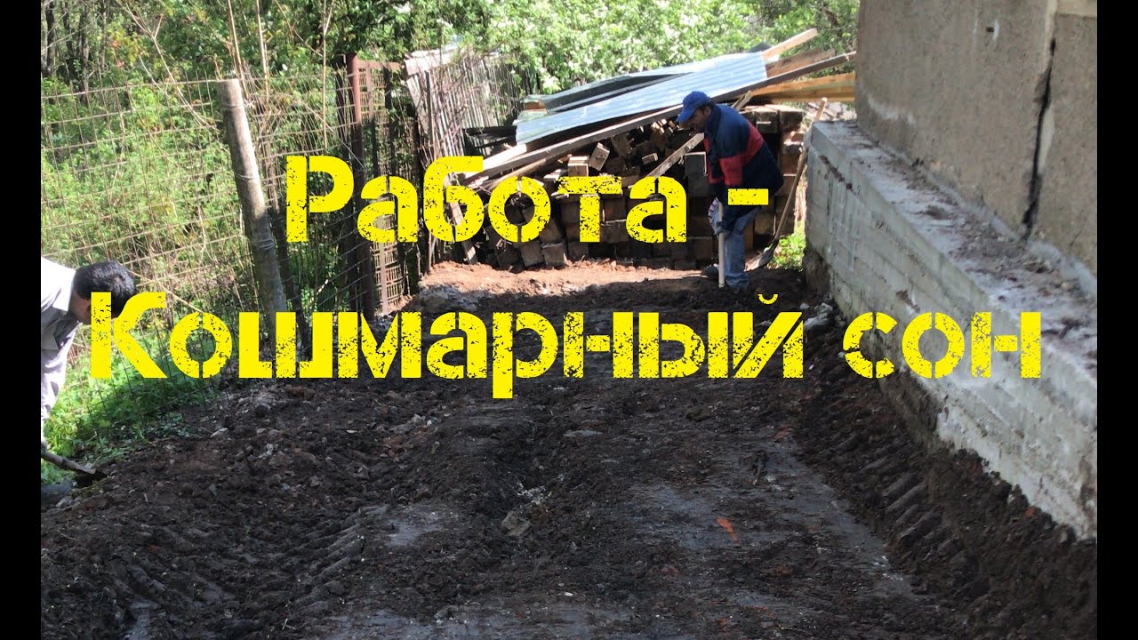Самый отвратительный заказ для кабана-Cat 434 за всё время.