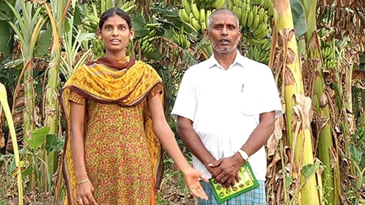 ஒரு நாட்டு மாட்டை வைத்து 30 ஏக்கர் நிலத்தை விவசாயம் செய்யலாம்... | Malarum Bhoomi