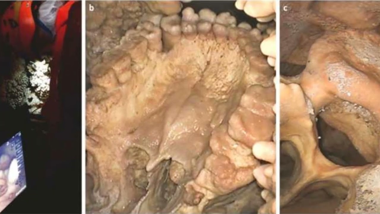 El Hombre de Altamira El Neandertal mejor conservado